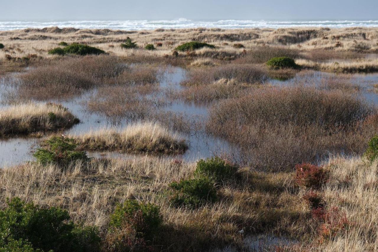 Tidal House #10 - Ocean Shores Chalet Kültér fotó